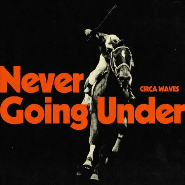 Circa Waves — Never Going Under (Релиз 2023) Sealed