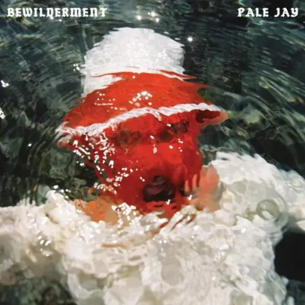 Pale Jay — Bewilderment 2023