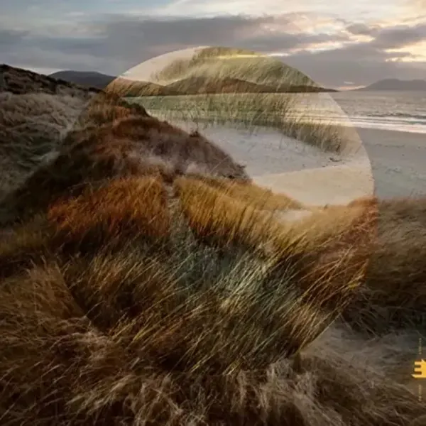 Matt Carmichael — Marram