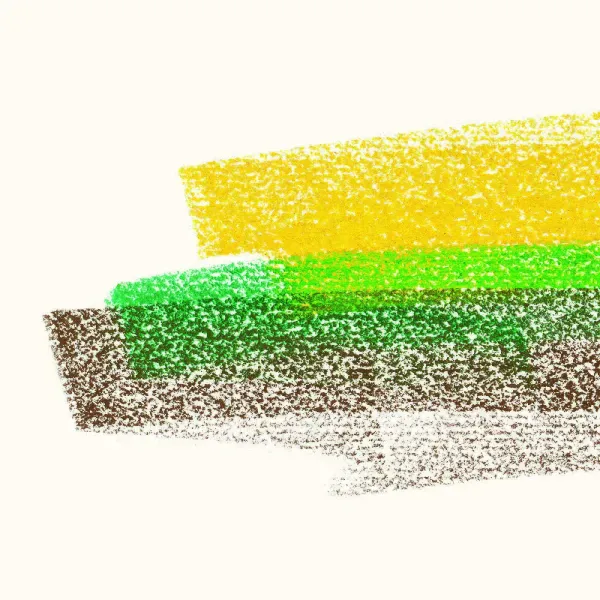 Flore Laurentienne — Volume III