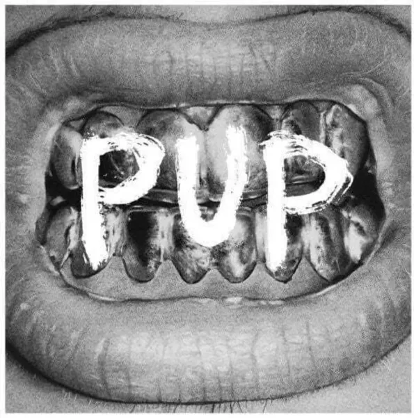 Pup — Pup Релиз 2014 Sealed