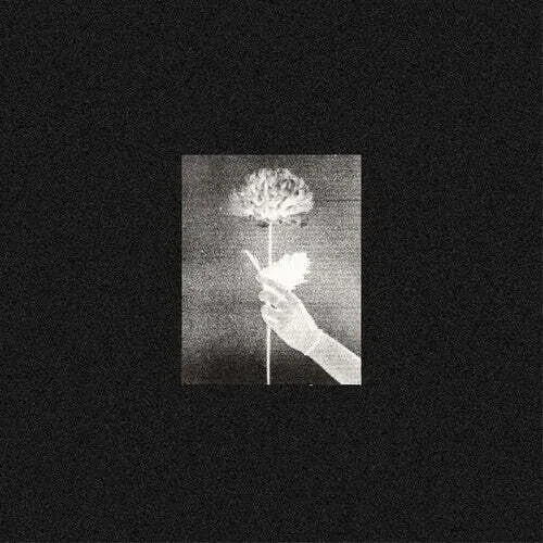 White Flowers — Day By Day (Blue Vinyl, LP) Релиз 2021 Sealed