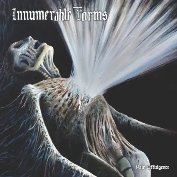 Innumerable Forms — Pain Effulgence Релиз 2025