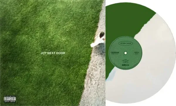 The Maine — Joy Next Door