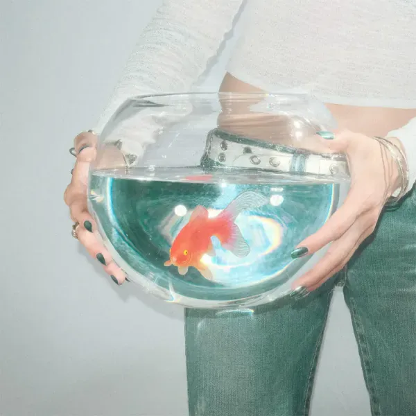 Fish Narc — Frog Song