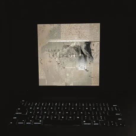 Lambchop — The Bible