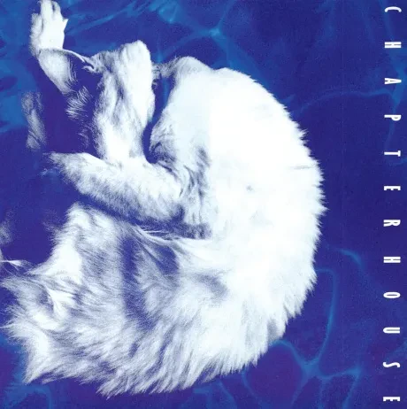 CHAPTERHOUSE — Whirlpool Цветной винил