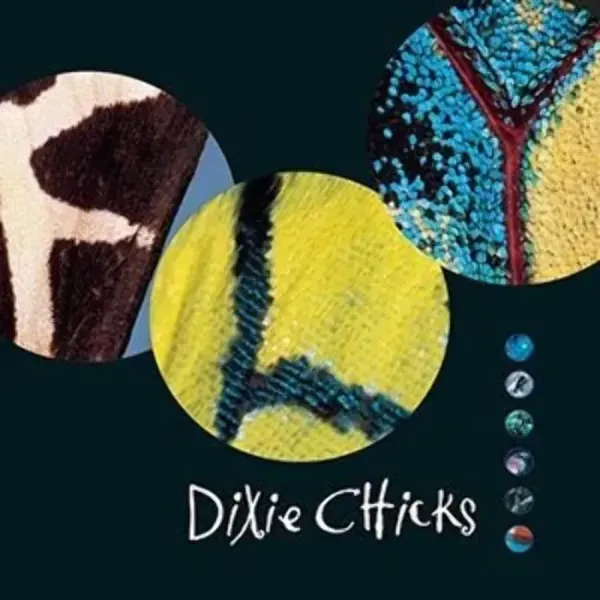 Dixie Chicks — Fly Sealed