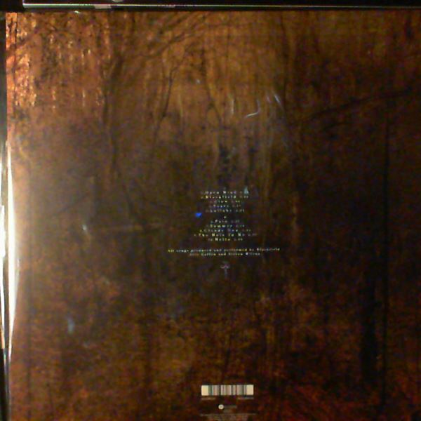 Blackfield (Wilson Steven Project (Porcupine Tree)) — Blackfield (Wilson Steven Project (Porcupine Tree))