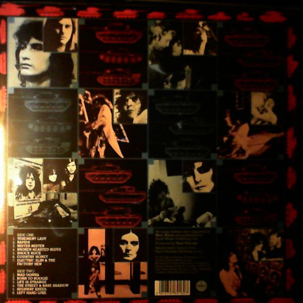 Tyrannosaurus Rex (T. Rex) — Tanx