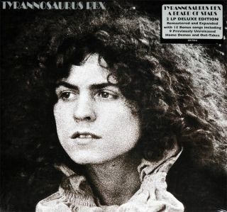 T. Rex — A Beard Of Stars