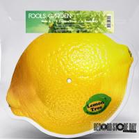 Fools Garden — Lemon Tree
