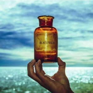 Blackfield — Blackfield V