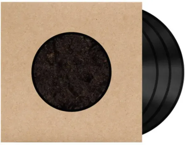 Swans — Birthing 2025