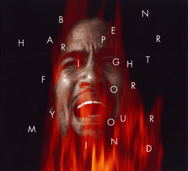 Ben Harper — Fight For Your Mind