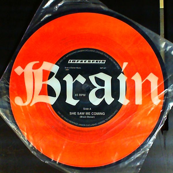 Cope Julian & Donor Brain — She saw me coming/Shaman u.f.o.