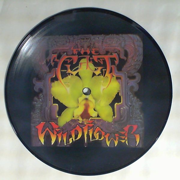The Cult — Wild Flower