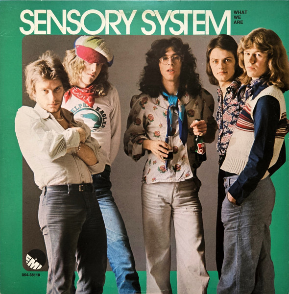 Sensory System — What We Are