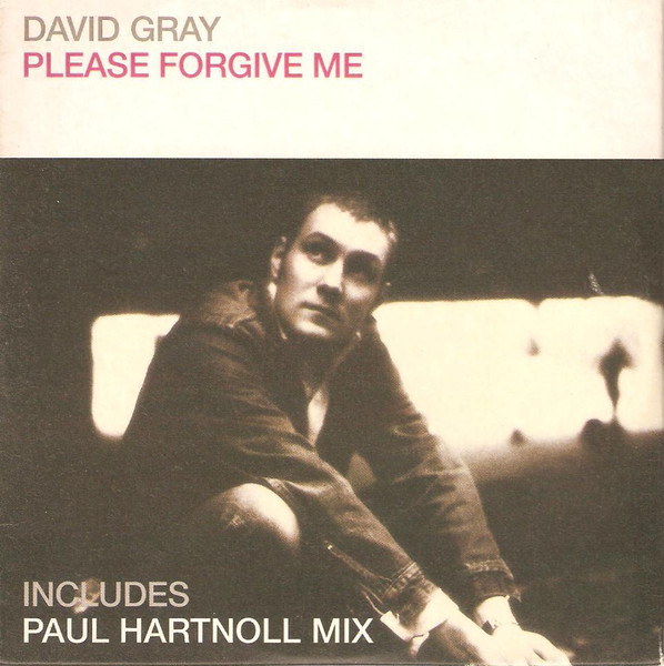 David Gray — Please Forgive Me (Paul Hartnoll Mix)