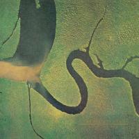 Dead Can Dance — The Serpent's Egg