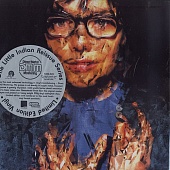 Björk — Selmasongs