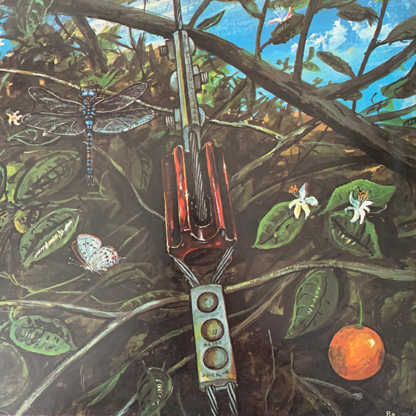 Dragonfly — Dragonfly