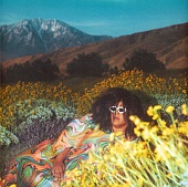 BRITTANY HOWARD — What Now