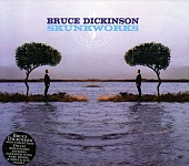 Bruce Dickinson — Skunkworks