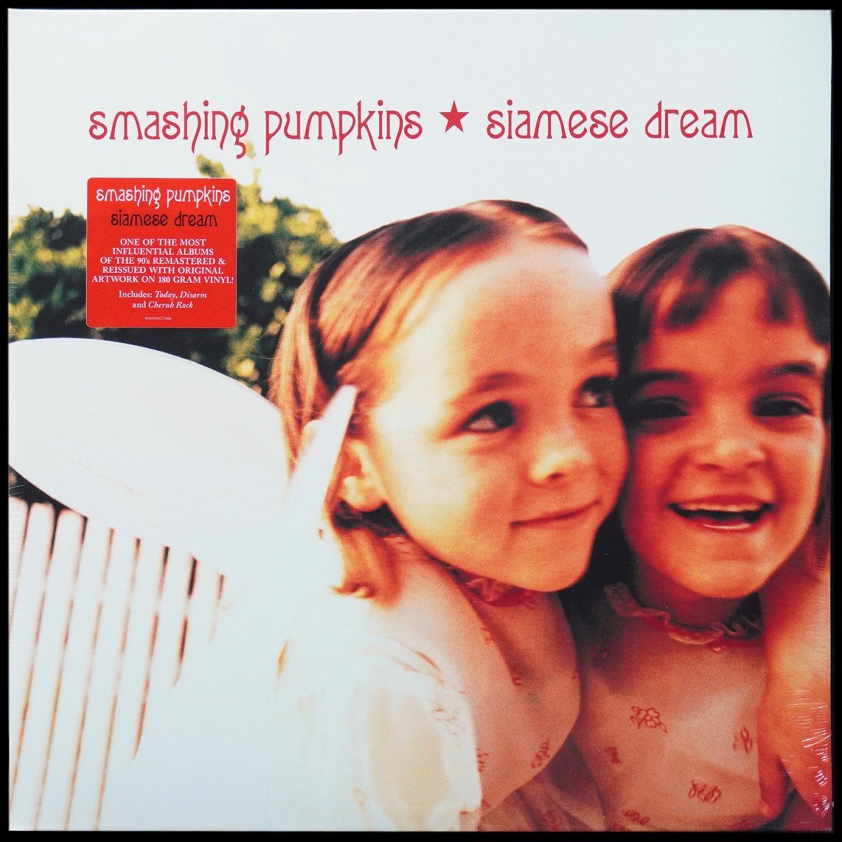 Smashing Pumpkins — Siamese Dream