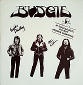 BUDGIE — If SwallowedDo Not Induce Vomiting