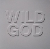 Nick Cave And The Bad Seeds — Wild God