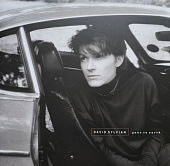David Sylvian — Gone To Earth