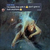 Arab Strap — I'm Totally Fine With It Don't Give A **** Anymore