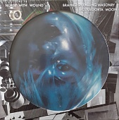Nurse With Wound — Brained By Falling Masonry