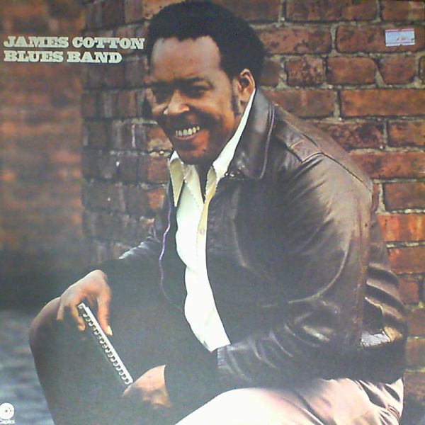Cotton James Blues Band — Taking care of business
