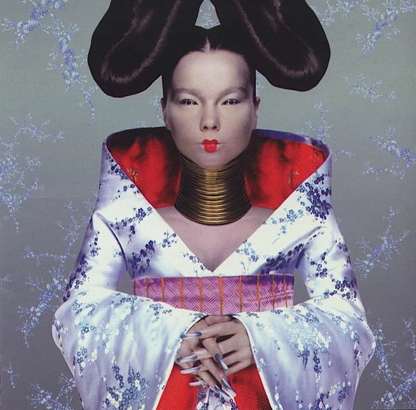 Обложка Björk — Homogenic