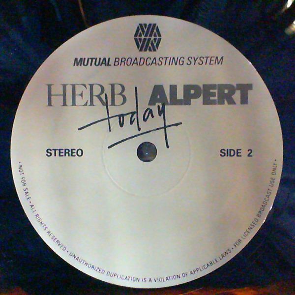 Alpert Herb — Today