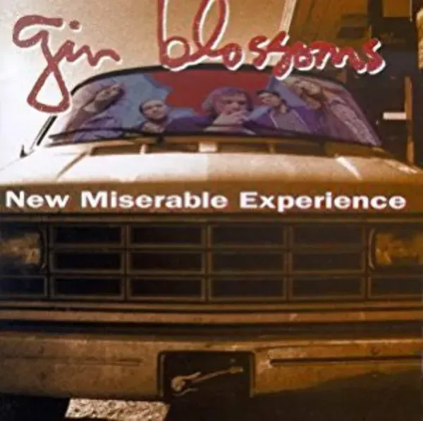 Gin Blossoms — New Miserable Experience