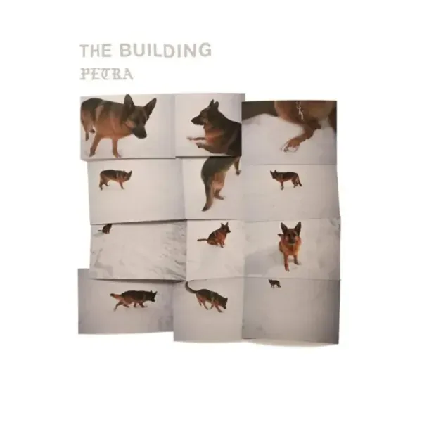 The Building — Petra Sealed
