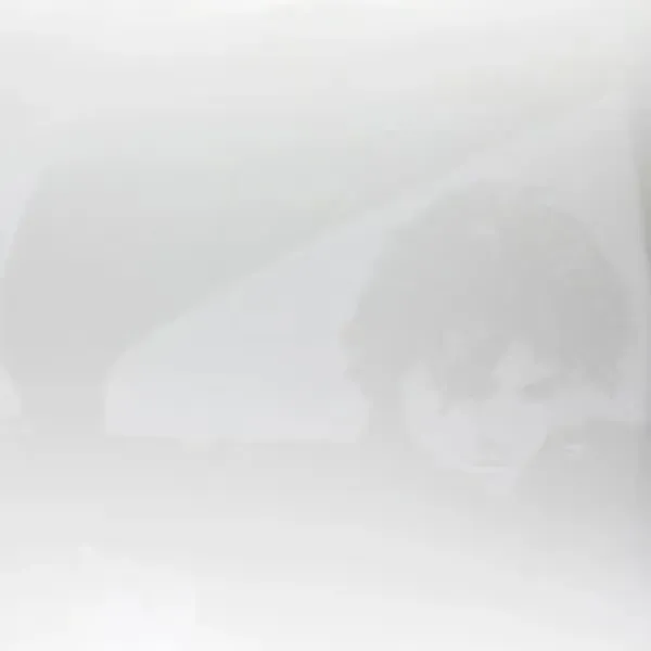 John Mayer — Continuum