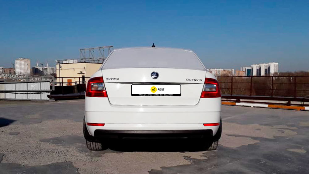 Фото Skoda Octavia