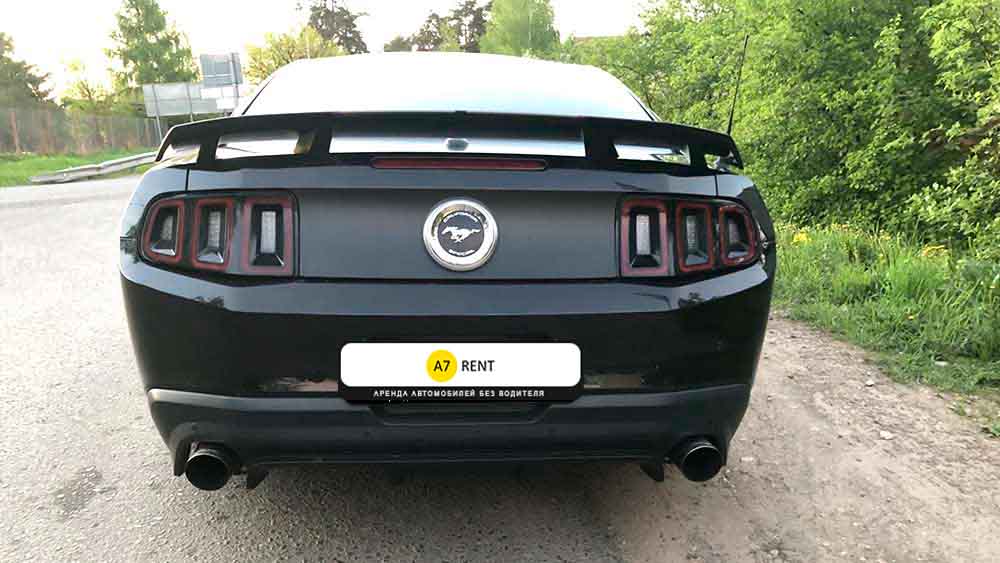 Ford Mustang 313
