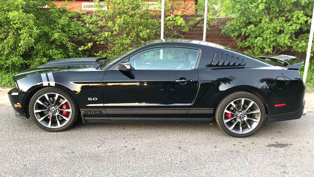 Ford Mustang 313