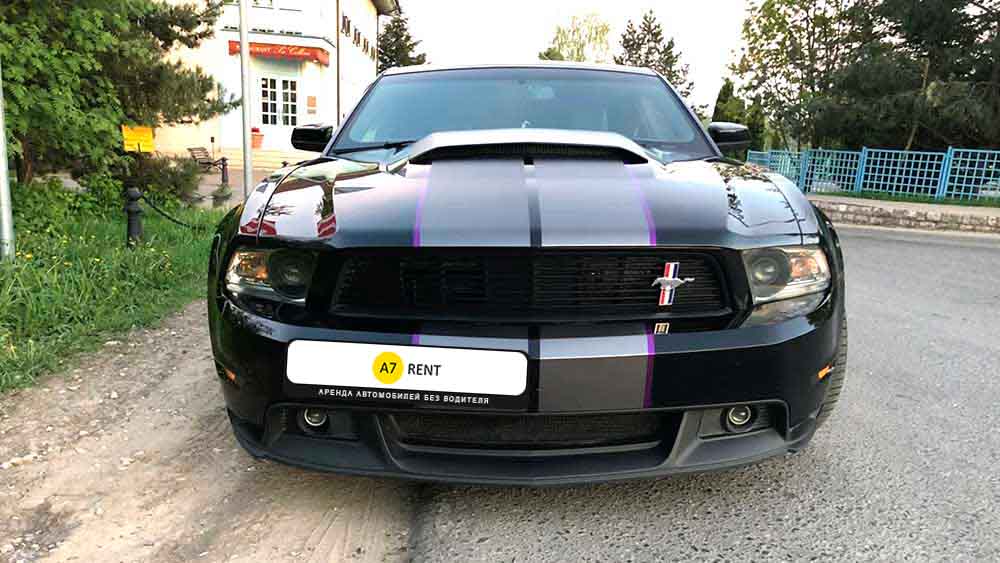 Ford Mustang 313