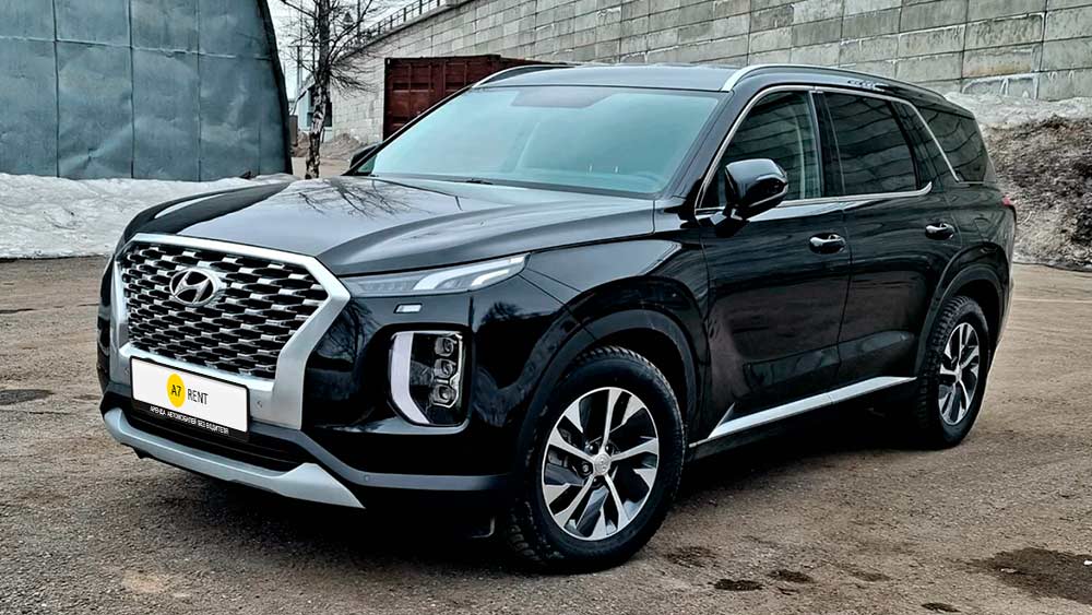 Hyundai Palisade 751