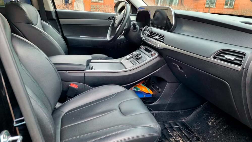 Hyundai Palisade 751