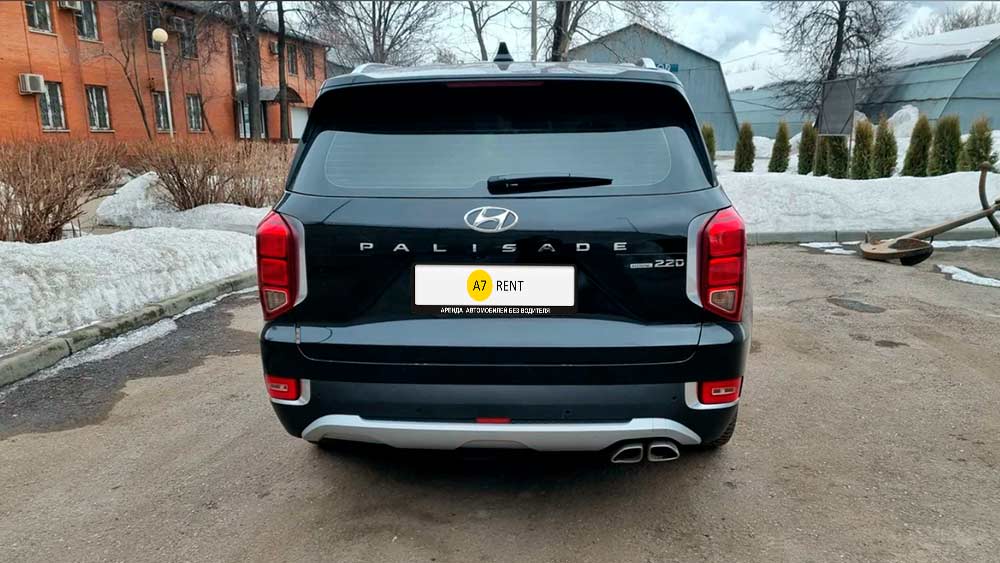 Hyundai Palisade 751