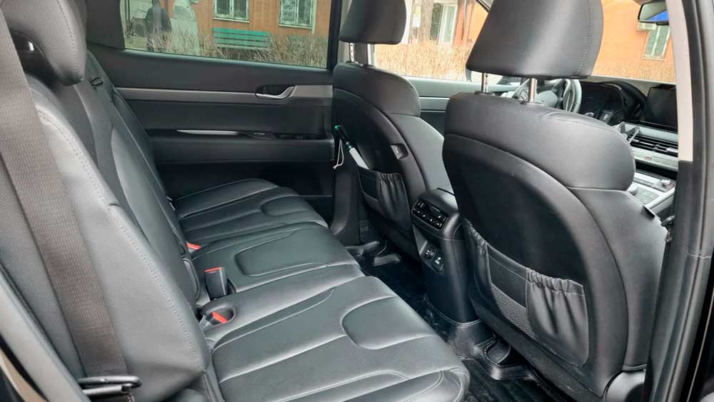 Hyundai Palisade 751