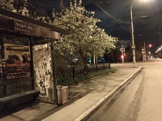Остановка — Чкалова Парк Архипова