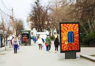 Ситискроллы — пр. Кирова, в районе дома № 11 (район парка им. К.А. Тренева)